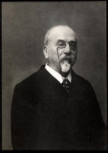 Retrato de Victor Cherbuliez (1829-1899), novelista y autor francés de French Photographer